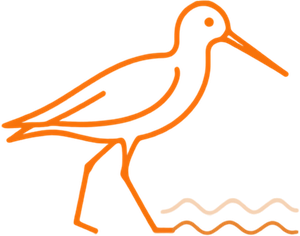 Sandpiper
